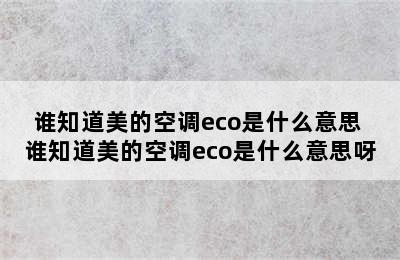 谁知道美的空调eco是什么意思 谁知道美的空调eco是什么意思呀